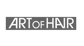 art of hair 1